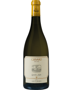 Antinori Cervaro della Sala 2023