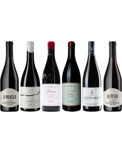 Mencia Premium Verkostungsset