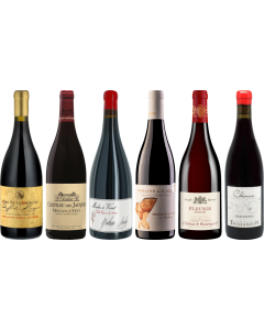 Beaujolais Premium Verkostungsset