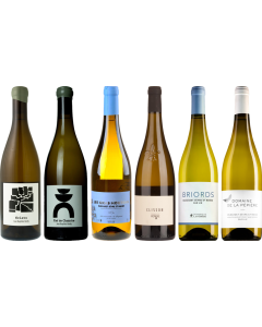 Muscadet Premium Verkostungsset