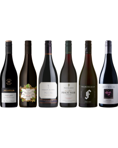 Neuseeland Pinot Noir Premium Verkostungsset