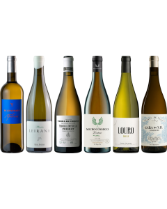 Spanischer Weißwein Premium Verkostungsset