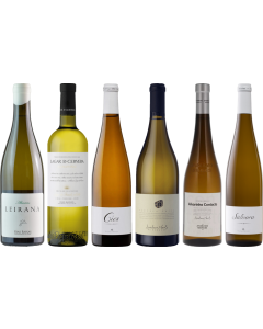 Albarino Premium Verkostungsset
