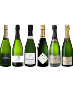 Hochwertiges Champagner-Verkostungsset