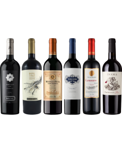 Carmenere Verkostungsset