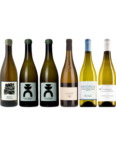 Muscadet Premium Verkostungsset