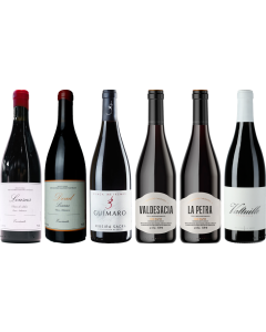 Mencia Premium Verkostungsset