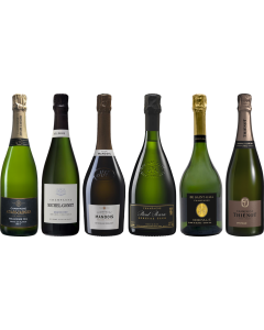 Vintage Champagne Premium Verkostungsset