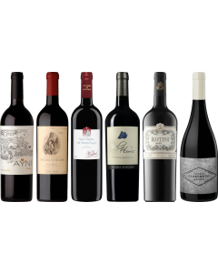 Argentinischer Malbec Premium Verkostungsset