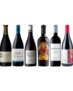 8Wines Rotwein Verkostungsset