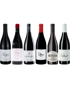 Mencia Premium Verkostungsset