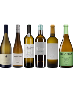 Portugiesischer Weißwein Premium Verkostungsset