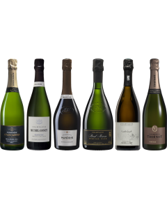 Vintage Champagne Premium Verkostungsset