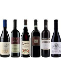 Langhe Nebbiolo Premium Verkostungsset