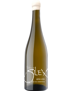 Clement & Florian Berthier Coteaux du Giennois Terre de Silex 2023