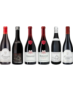 Marsannay Premium Verkostungsset 