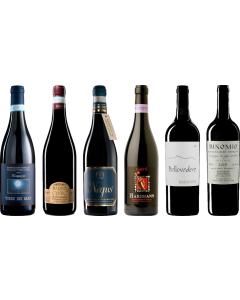 Montepulciano d'Abruzzo Premium Verkostungsset