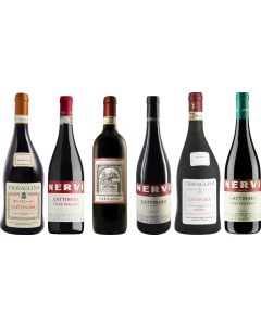 Piemonte Gattinara Premium Verkostungsset