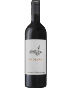 Tzora Shoresh 2024