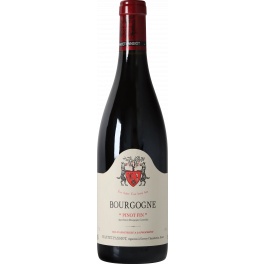 Geantet-Pansiot Bourgogne Pinot Fin 2022