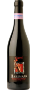 Pasetti Harimann Montepulciano d'Abruzzo 2012 (Nicht auf Lager)