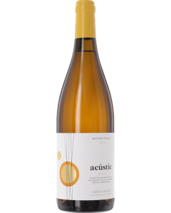 Acustic Celler Acustic Blanc 2017