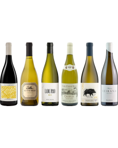 8Wines Weisswein Verkostungsset