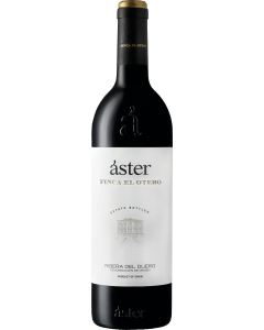 Aster Finca El Otero 2019