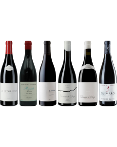 Bierzo und Galicia Mencia Premium Verkostungsset