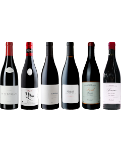 Bierzo und Galicia Mencia Premium Verkostungsset