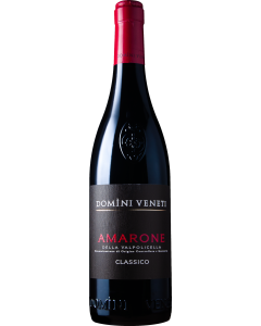 Domini Veneti Amarone della Valpolicella Classico 2021