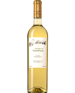 San Pedro de Yacochuya Torrontes 2021