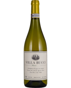 Villa Bucci Verdicchio Riserva 2020