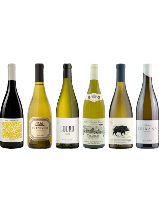 8Wines Weisswein Verkostungsset