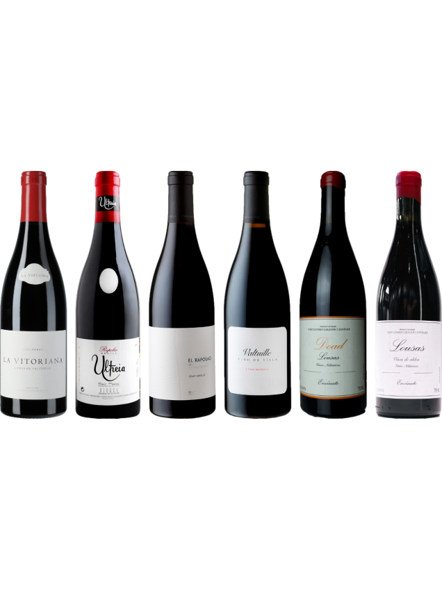 Bierzo und Galicia Mencia Premium Verkostungsset