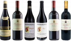 Barbaresco Premium Verkostungsset