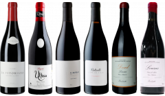 Bierzo und Galicia Mencia Premium Verkostungsset