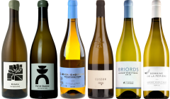 Muscadet Premium Verkostungsset