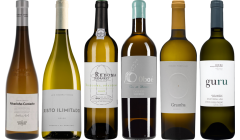 Portugiesischer Weißwein Premium Verkostungsset