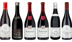 Marsannay Premium Verkostungsset 