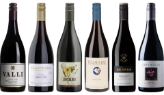 Neuseeland Pinot Noir Premium Verkostungsset