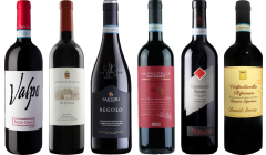 Valpolicella Ripasso Premium Verkostungsset