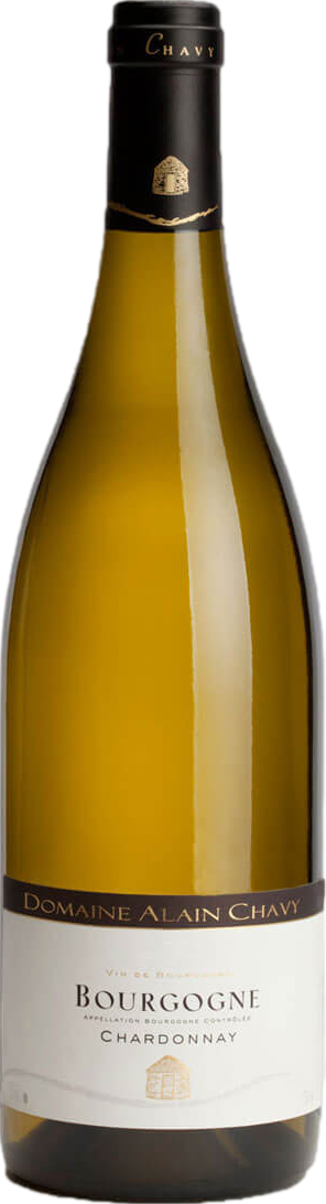 Domaine Alain Chavy Bourgogne Chardonnay 2024
