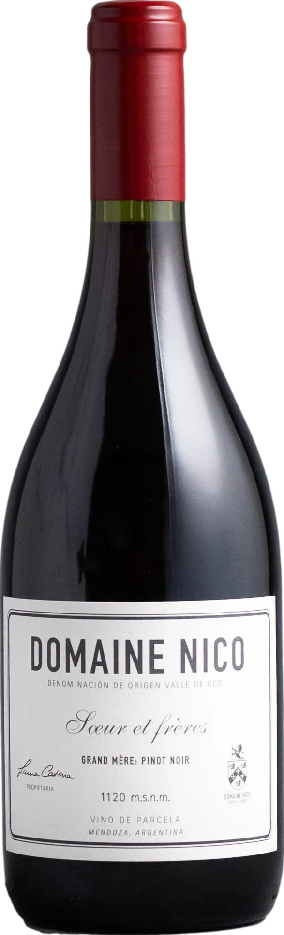 7794450943286 - DOMAINE NICO GRAND MERE PINOT NOIR 2020 - DOMAINE NICO