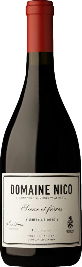 Domaine Nico Histoire d'A Pinot Noir 2021