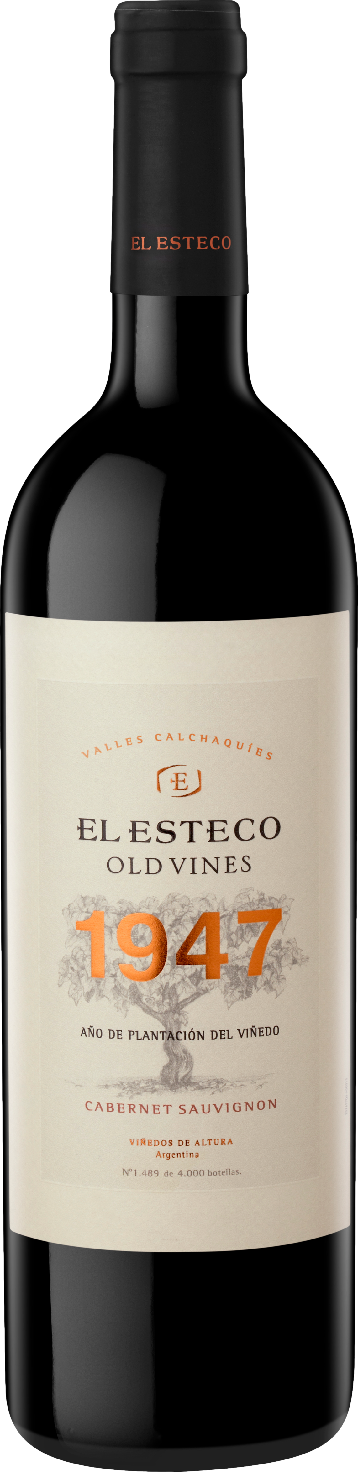 El Esteco Old Vines Cabernet Sauvignon 2019