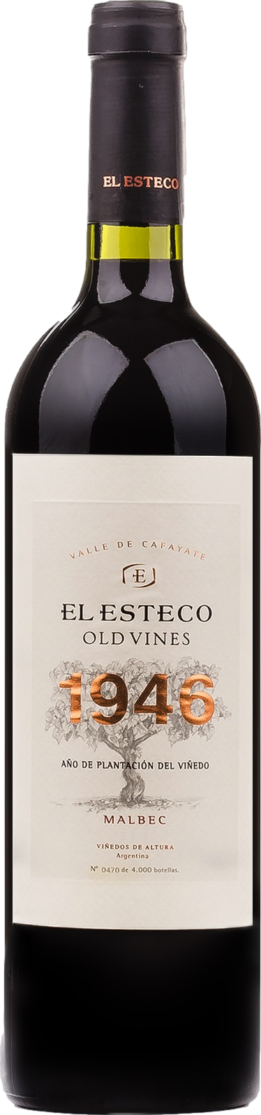 El Esteco Old Vines Malbec 2022