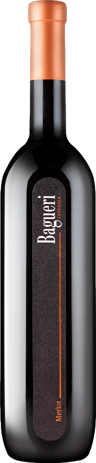 Klet Brda Bagueri Merlot 2021