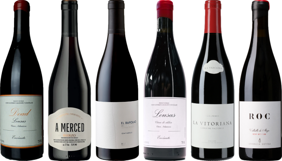 Mencia Premium Verkostungsset