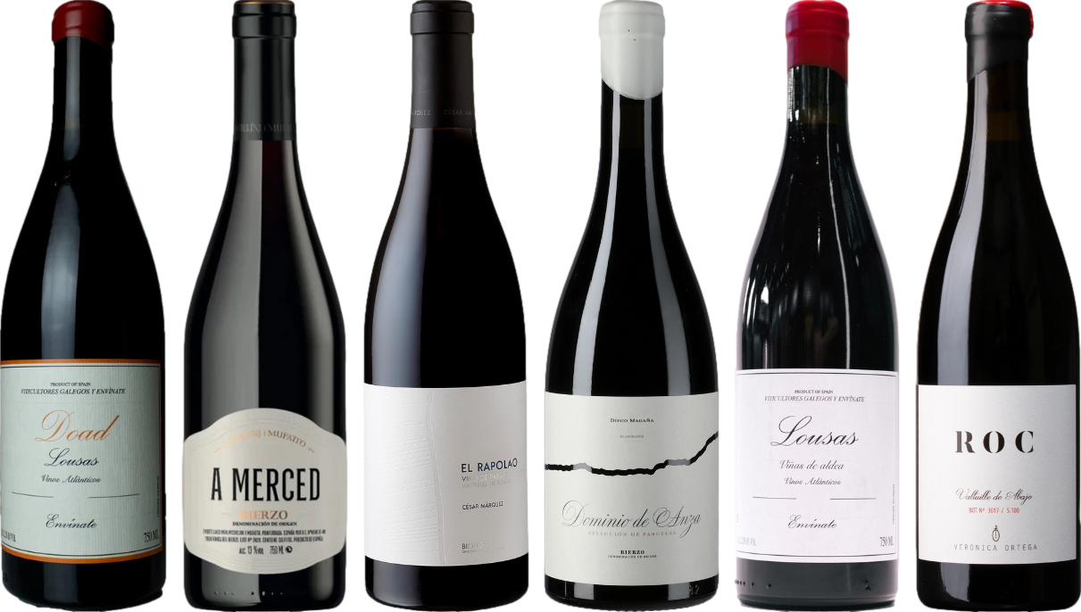 Mencia Premium Verkostungsset
